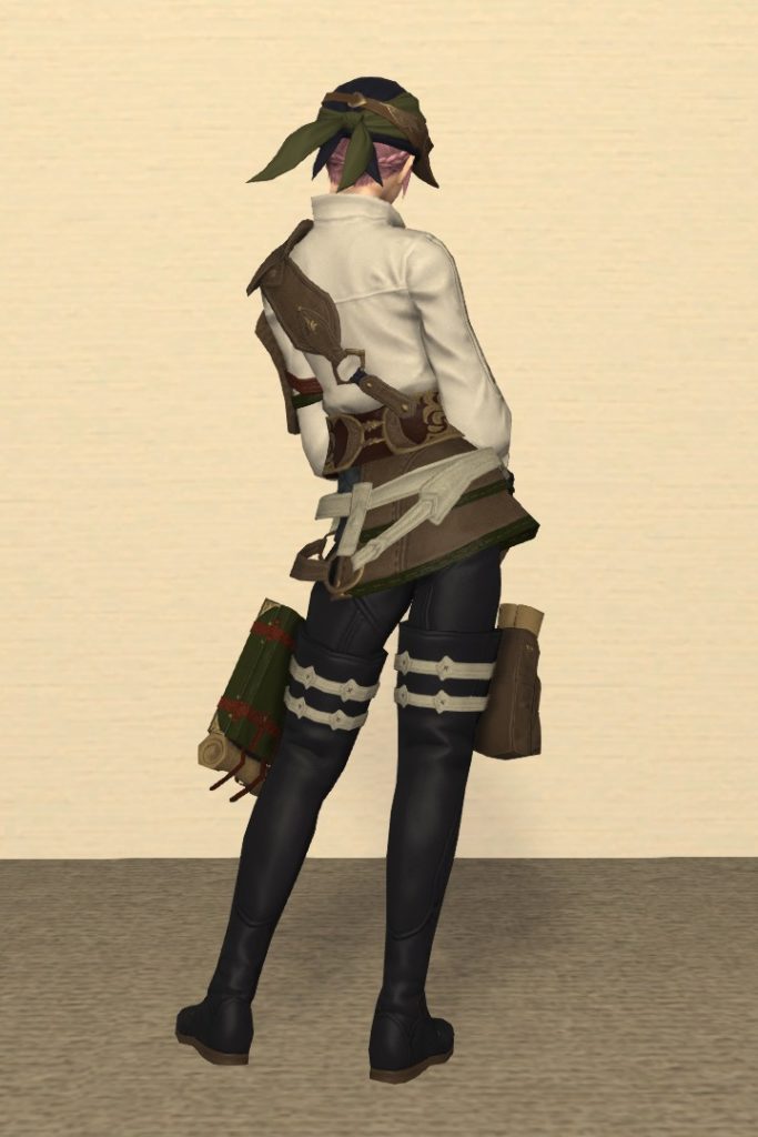 革細工師Lv70：ハイドキング装備 背面