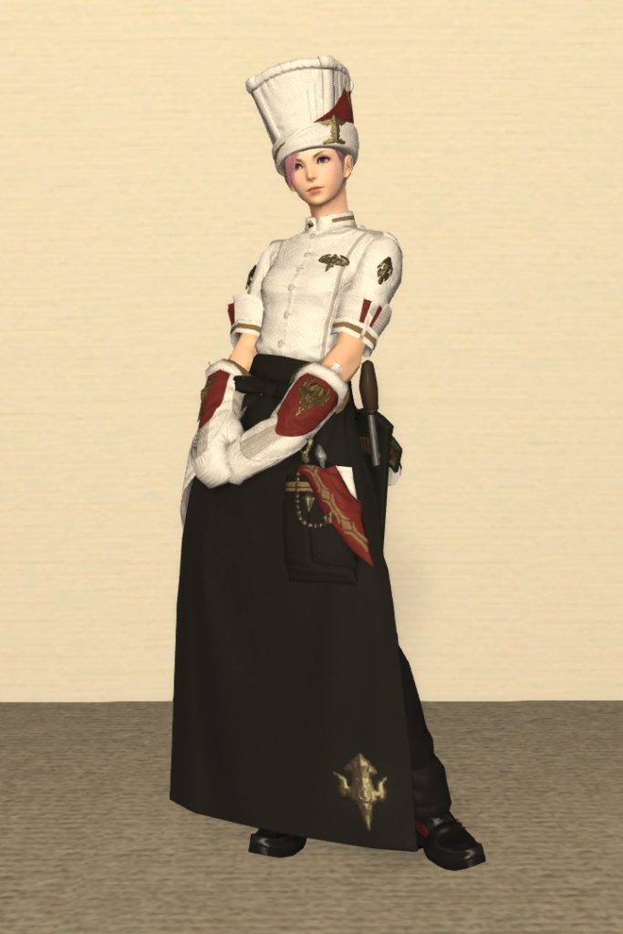 調理師Lv70：ガリーキング装備 正面