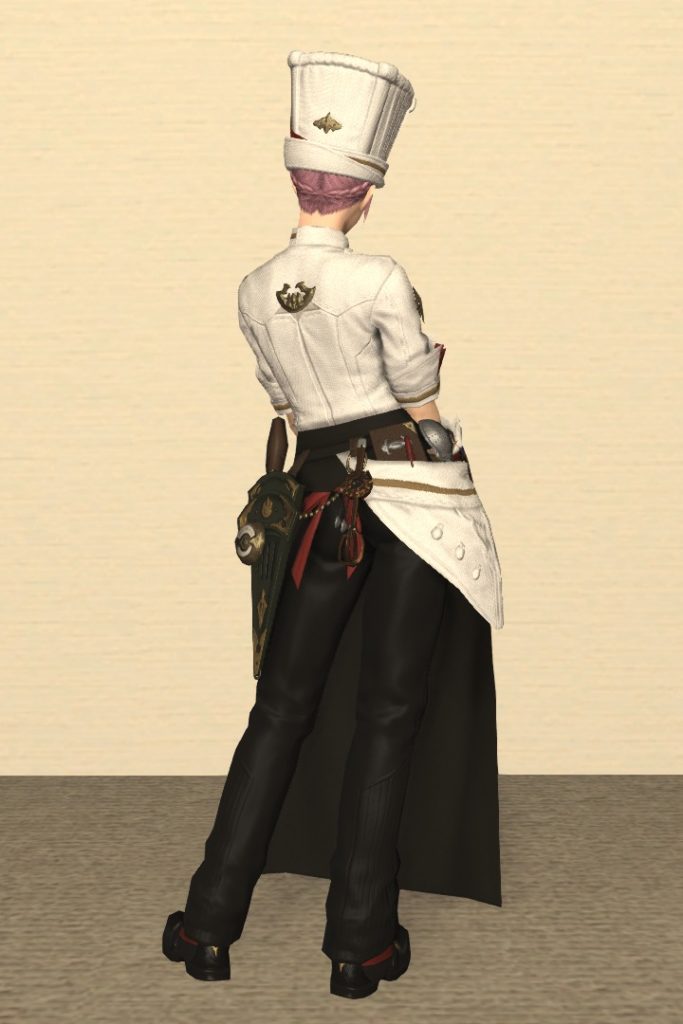 調理師Lv70：ガリーキング装備 背面